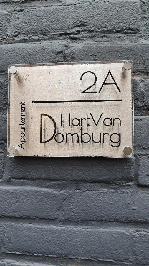 Schitterend Appartement Hartvandomburg Eksteriør bilde